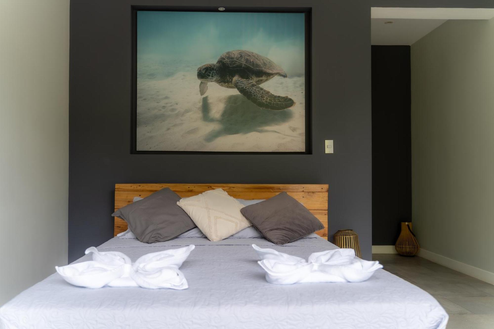 Lilan Nature, Modern House N°1, Private Swimming Pool. カウイータ エクステリア 写真